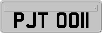 PJT0011
