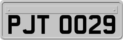PJT0029