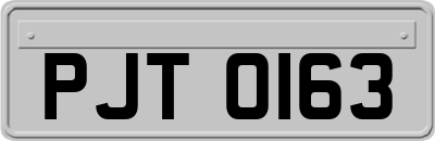 PJT0163