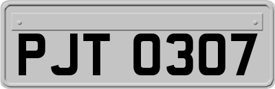 PJT0307