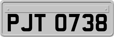 PJT0738