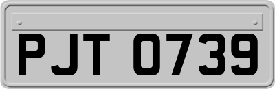 PJT0739