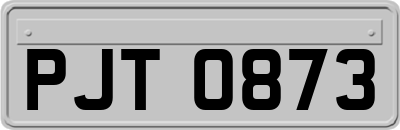 PJT0873