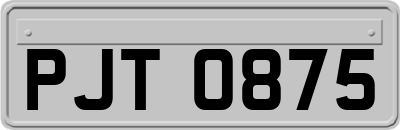 PJT0875