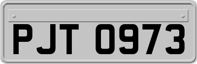 PJT0973