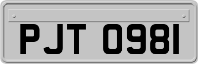 PJT0981