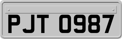PJT0987
