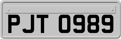 PJT0989
