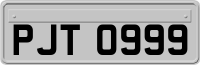 PJT0999