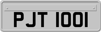 PJT1001