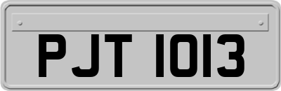 PJT1013