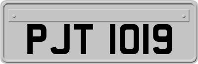 PJT1019