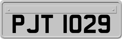 PJT1029