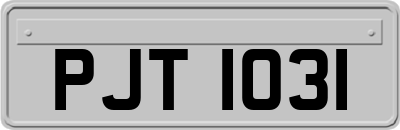 PJT1031