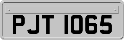PJT1065