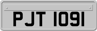PJT1091