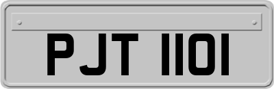 PJT1101