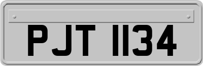 PJT1134