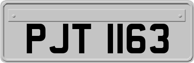 PJT1163