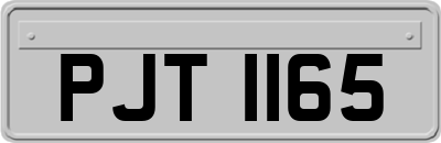 PJT1165