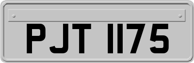 PJT1175