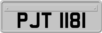 PJT1181