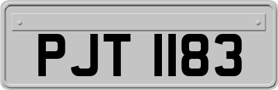 PJT1183