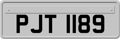 PJT1189