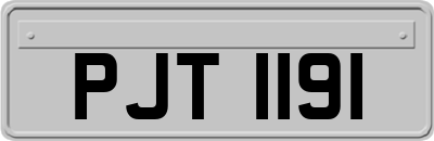 PJT1191