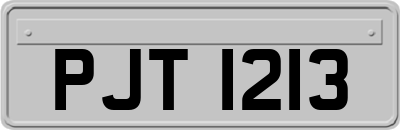 PJT1213