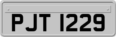 PJT1229