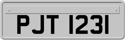 PJT1231