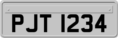 PJT1234