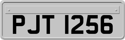 PJT1256