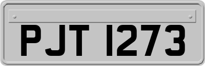 PJT1273