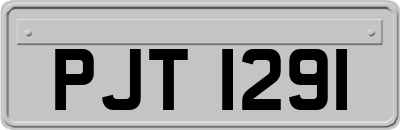 PJT1291