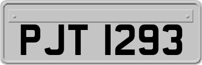 PJT1293