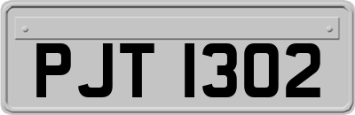 PJT1302