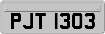 PJT1303