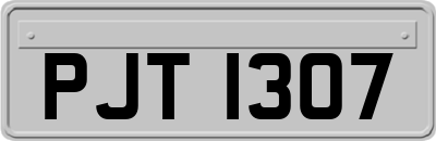 PJT1307