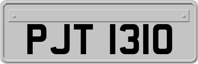 PJT1310