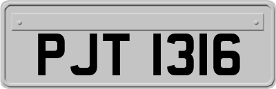PJT1316