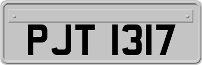 PJT1317