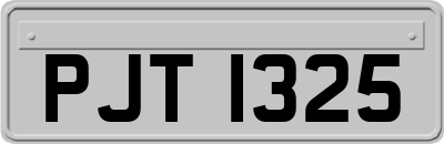 PJT1325