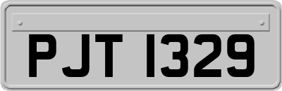 PJT1329