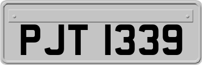 PJT1339