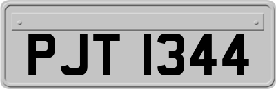 PJT1344