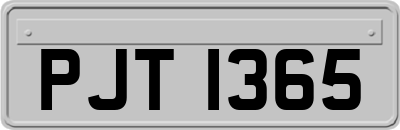PJT1365