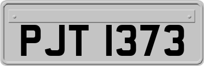 PJT1373
