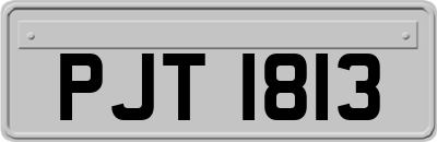 PJT1813